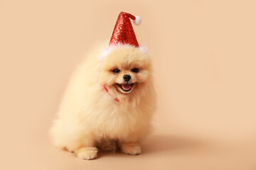 Cute Pomeranian dog in Santa hat celebrating Christmas on brown background