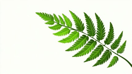 A vibrant green fern leaf, mid-century modern style, soft color gradients, clean lines, minimalist approach, digital illustration