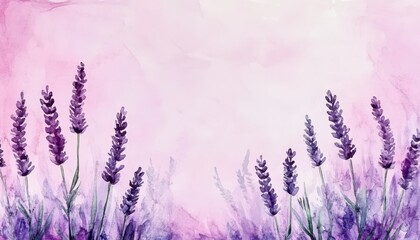 Obraz premium Lavender fields in bloom during sunset with soft pastel colors filling the sky