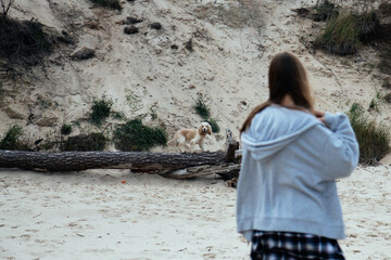Young woman watching her dog explore the sandy terrain near the beach. The dog stands on a log, enjoying an outdoor adventure. Natural setting and casual autumn vibes.