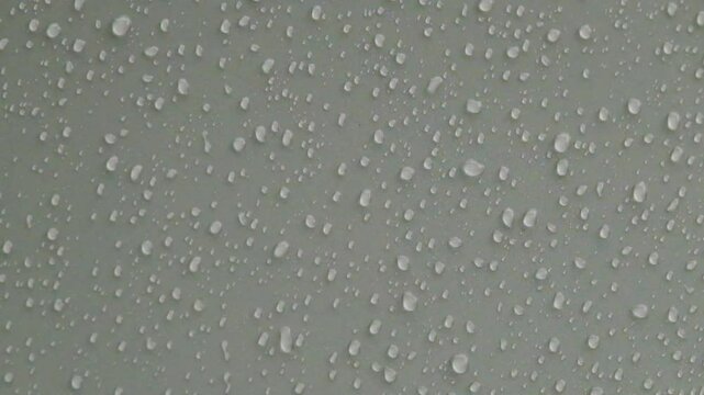 Raindrops fall on a white background. Raindrops drip and create abstract droplets. Footage 4K, 60Fps can be used for slow motion