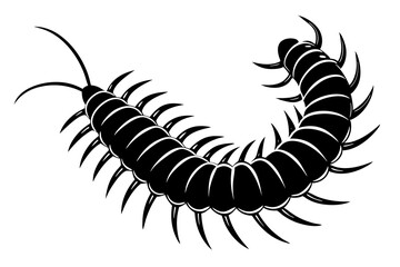Centipede Vector illustration