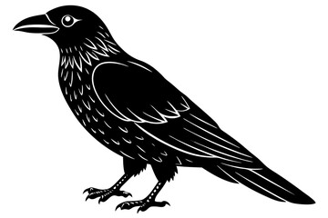 Crow Vector illustration