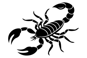 scorpion isolated on white background