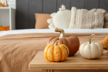 Ceramic and real pumpkins on bench in bedroom