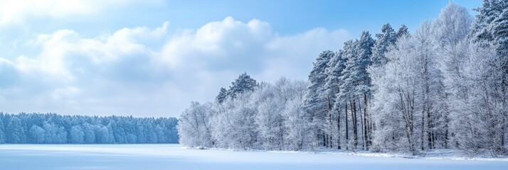 winter, snow, tree, landscape, cold, nature, forest, sky, frost, blue, ice, white, frozen, trees, scene, season, field, snowy, scenery, weather, road, rural, christmas, outdoors, outdoor, ai