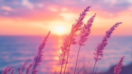 Little grass stalk close-up with sunset over calm sea, sunset over horizon. Pink & purple pastel watercolor soft tones. Beautiful nature background