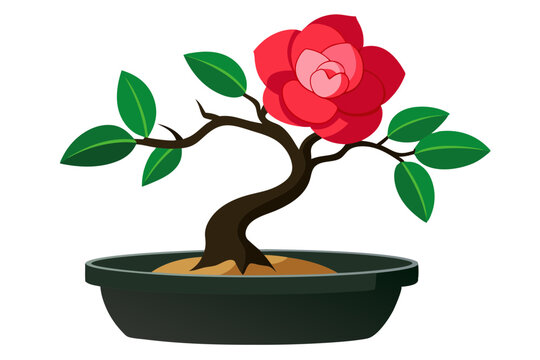 red flower bonsai tree in black pot clip art preview