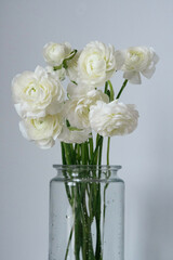 Ranunculus flower