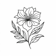 Fototapeta premium flower black and white colors with clean lines on a white background