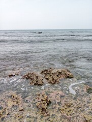 Portrait of a beach view on a sunny day with coral rocks on the beach