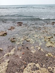 Portrait of a beach view on a sunny day with coral rocks on the beach