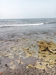 Portrait of a beach view on a sunny day with coral rocks on the beach