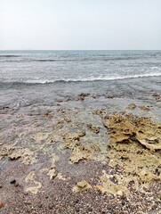Portrait of a beach view on a sunny day with coral rocks on the beach