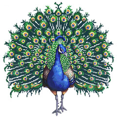 Stunning Peacock with Vibrant Colors and Detailed Feathers
