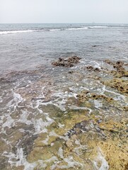 Portrait of a beach view on a sunny day with coral rocks on the beach