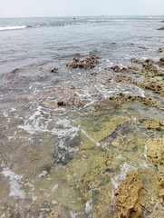 Portrait of a beach view on a sunny day with coral rocks on the beach