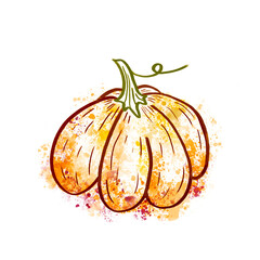 Hand drawn pumpkin with watercolor stains. Autumn illustration.