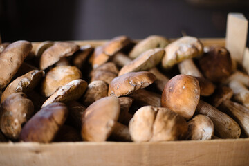 Paris,France - October 8, 2024: Porcini mushrooms or Cepe sold at open market in Paris, France