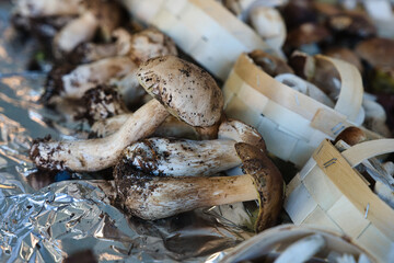 Paris,France - October 8, 2024: Porcini mushrooms or Cepe sold at open market in Paris, France