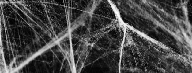 White cobweb on black background, banner design