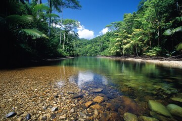 Obraz premium Ecosystem balance, depicted in a vibrant rainforest scene where wildlife, plants, and waterways coexist in harmony, highlighting biodiversity in nature