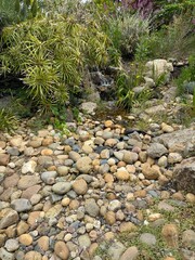 small waterfall and stream over stones, rocks, and pebbles in the garden with ferns, plants, and moss