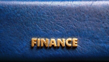 Finance-Themed Blue Leather Portfolio Design