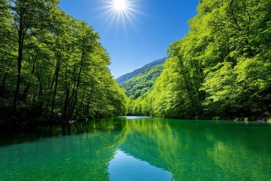 Nature, shown in a pristine forest environment, with tall trees, a flowing river, and wildlife coexisting in harmony