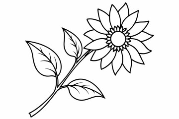 A cute sunflower looks awesome
