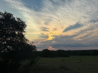 Sunset over forest and plains