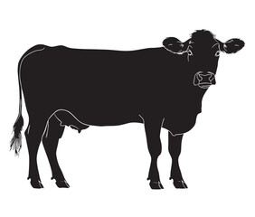 Cow silhouette icon