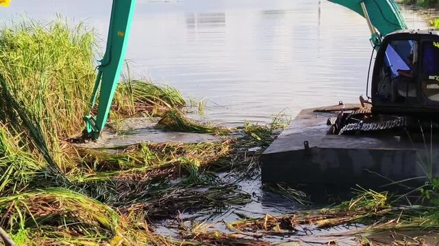 Excavator Clearing Aquatic Vegetation for Water Maintenance Enhancing Ecosystem Health in Our Environment and Rivers.