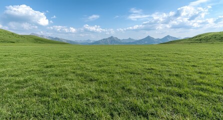 Obraz premium Scenic mountain landscape with green meadow