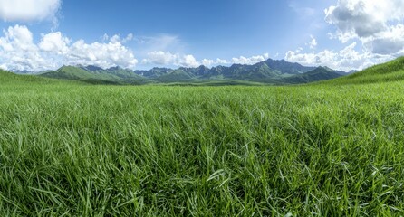 Fototapeta premium Panoramic view of lush green meadow with mountains in the background