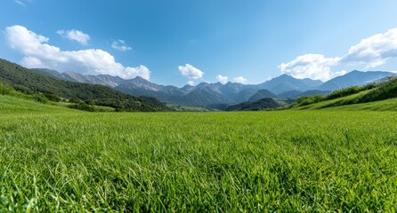 Fototapeta premium Scenic mountain landscape with green meadow