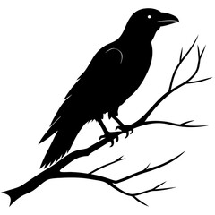 silhouette of a bird