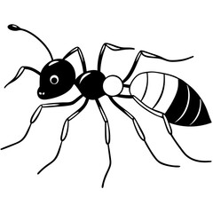 ant
