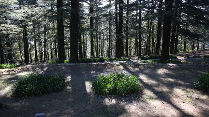 monument to the soldier