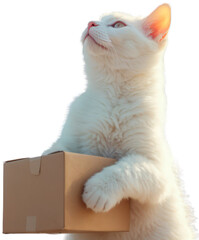 Cat holding a box shipment from a shipping company with a lots of goods around isolated on transparent background