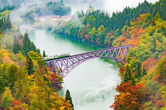 JR Tadami Line Train on the Bridge across Tadami River with Colourful Maple Tree on Hillside in Autumn, Fukushima, Japan