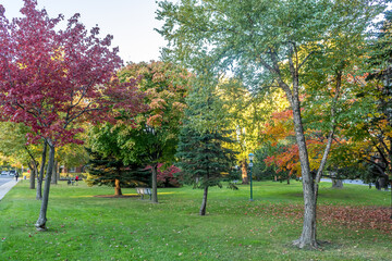 Naklejka premium La ville de Montreal au Quebec Canada