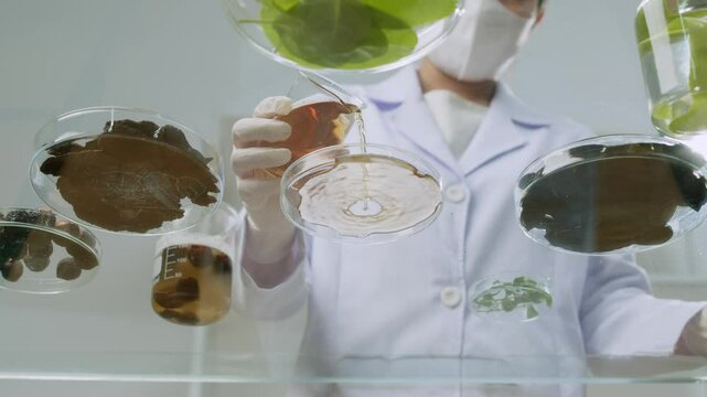 A researcher pours an orange solution into a petri dish in a video sample taken from a bottom-up perspective in a contemporary lab, near to petri dishes with different herbal components.