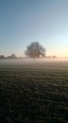 24. A misty morning in a rural landscape, fog rolling over fields and trees