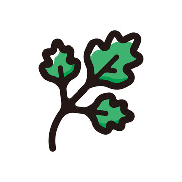 recommend clip art: Coriander outline icon for graphic design, apps and websites
