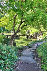 Step stones in Kiyosumi Garden, Tokyo, Japan