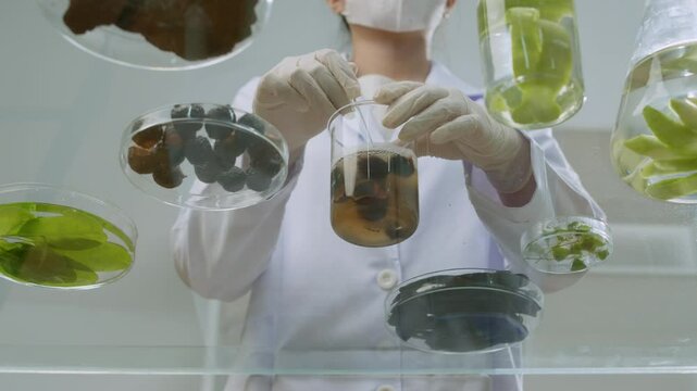 In a modern lab, next to petri dishes containing various herbal components, a researcher stirs a soapberry in a beaker with a glass rod in a video template captured from the bottom up.