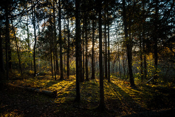 Beautiful autumn day in Fundy trail parkway