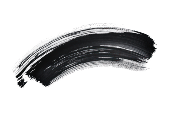 Delicate ink brush strokes with fine details isolated on transparent and white background.PNG image	