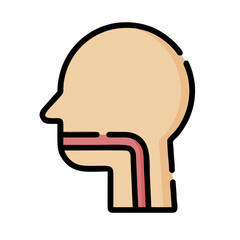 silhouette of a person